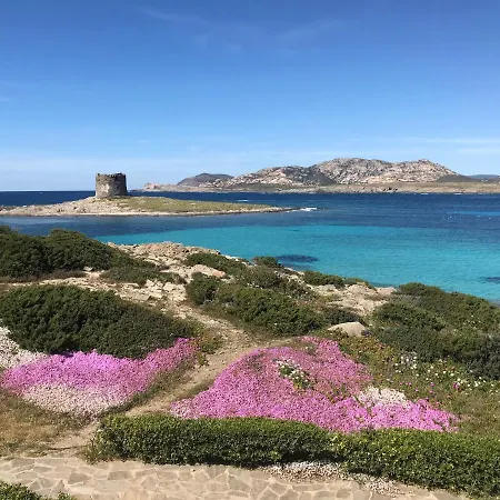 Aparthotel La Pelosetta 3*