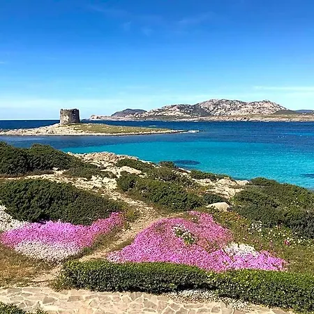 La Pelosetta Stintino